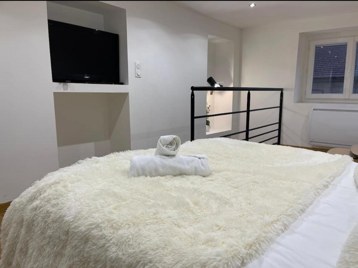 דירות Fontaine  Le Duplex - Gare / Tram / Netflix מראה חיצוני תמונה